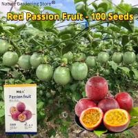 ราคา เมล็ดพันธุ์ เสาวรส บอนสี สีแดง สีเหลือง Red Yellow Passion Fruit Seeds เมล็ด ผลไม้เสาวรส เสาวรสหวาน เมล็ดผลไม้ พันธุ์ผลไม้ ต้นผลไม้ เมล็ดพันธุ์ผัก เมล็ดพันธุ์ผลไม้ บอนไซ พันธุ์ไม้ผล ผักสวนครัว ปลูกง่า