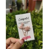 ราคา พร้อมส่ง การ์ดดอกไม้ การ์ดอวยพร ดอกไม้แห้ง การ์ดปัจฉิม ปัจฉิม ของขวัญปัจฉิม ของขวัญให้เพื่อน (17902775529)