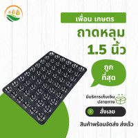 ราคา ถาดหลุม ถาดเพาะ ถาดหลุมแคคตัส ถาดหลุม 1 5 นิ้ว สีดำ 1 นิ้ว (14530180878)