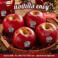 ราคา แอปเปิ้ลเอนวี่ ENVY APPLE Newzealand USA Apple Premium ลูกใหญ่ หวาน กรอบ อร่อย (21096688782)