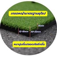 ราคา พรมซ้อมกอล์ฟหญ้าเทียม 2 ระดับ พรมกอล์ฟ พรมซ้อมชิพกอล์ฟ ขนาด 40x60 ซม ฟรีทียาง 1 ชิ้น บริการซ่อมฟรี นาน 1 ปี (440128698)
