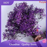 ราคา Chandrae ดอกไม้แห้งสดธรรมชาติช่อดอกยิปโซตกแต่งบ้านแต่งงาน (21058998169)