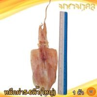 ราคา หมึกผ่า 5 6นิ้ว ใหญ่ 1ตัว หมึก หมึกแห้ง ปลาหมึก ปลาหมึกแห้ง หมึกตากแห้ง ของทะเลแห้ง อาหารทะเล อาหารทะเลแห้ง ของฝาก (18518943588)