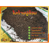 ราคา ใบก้ามปูหมักร่อนละเอียด 2 กิโลกรัม ถุง หมักธรรมชาติ ไนโตรเจนสูง ใช้ผสมปลูกต้นไม้ (21382451040)