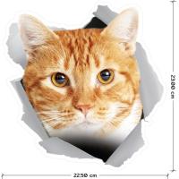 ราคา สติ๊กเกอร์ 3D หมา แมว สติ๊กเกอร์ 3 มิติ ตกแต่งรถยนต์ ติดผนัง ติดกระจก กันน้ำ ทนน้ำ ทนแดด สติ๊กเกอร์ หมา แมว จ๊ะเอ๋ (16646276957)