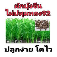ราคา All23 เมล็ดพันธุ์ เมล็ดผักบุ้งจีน เมล็ดผักบุ้ง ไผ่ปทุมทอง92 ปลูกง่าย ปลูกได้ทั่วไทย (13632862758)