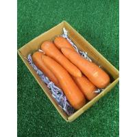 ราคา สดใหม่จากสวน แครอท นอก ออสเตรเลีย Organic มีใบรับรองปลอดสาร คั้นน้ำอร่อย แครอทนำเข้า แครอทนอก แครอทหวาน Carrot ราคาส่ง ราคาถูก (20992975509)