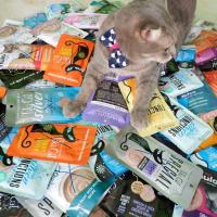 ราคา 85g Pack 40 อาหารแมวกระป๋อง อาหารแมวเปียก อาหารสุนัข กระป๋องเปลือย (20344690455)