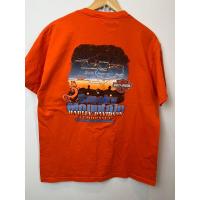 ราคา hot เสื้อยืดมือสอง ฮาเลย์ เดวิดสัน harley davidson 2010 made in usa S 5XL (21017561624)