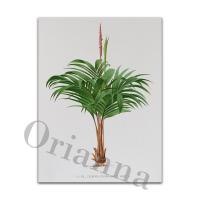ราคา Tropical Theme Canvas Vintage Palm Tree Print Antique Botanical Wall Art For Beach House Decor 0919 (20498271986)