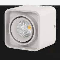 ราคา ตะแกรงสปอตไลท์ไฟ LED สองหัวแบบเปิดดาวน์ไลท์แบบแสงจ้าโคมไฟติดเพดานใช้ในครัวเรือนทรงสี่เหลี่ยมโคมไฟติดเพดาน (16340005917)