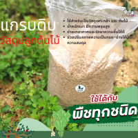 ราคา แกลบ แกลบดิบ แกบ เปลือกข้าว วัสดุปลูกต้นไม้ วัสดุปลูก ช่วยปรับสภาพความเป็นกรด ด่าง รักษาความชื้น วัสดุเพาะปลูกต้นไม้ ชั้นเยี่ยม (16830842285)