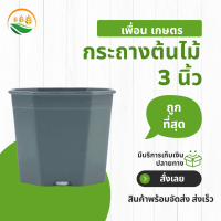ราคา กระถางเหลี่ยม กระถางปลูกต้นไม้ กระถางต้นไม้พลาสติก กระบองเพชร กระถาง 8 เหลี่ยม สีเทา 3 นิ้ว 50 ใบ (18283387028)