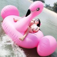 ราคา แพยางเป่าลมหงส์ ชมพู (18256162533)