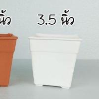 ราคา กระถางต้นไม้ กระถางแคคตัส กระถางกระบองเพชร กระถางพลาสติก ทรงสี่เหลี่ยม ขนาด 2 นิ้ว 3 นิ้ว 3 5นิ้ว 4นิ้ว 4 5นิ้ว ลูกค้าเลือกตามรูปและขนาดที่ต้องการ (13106214291)