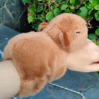 ราคา พร้อมส่ง ตุ๊กตาคาปิบาร่า คาปิบาร่าเกาะแขน capybara ตุ๊กตาหมามะพร้าว คาปิบาร่า (20985150691)