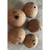 ราคา มะพร้าวกะลาตาเดียว มีทั้งแบบเจาะและไม่เจาะ (17574904664)