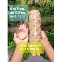 ราคา กระทงใบตองแห้ง กระทงใบตอง 4กลัด 100ใบ (21239563523)