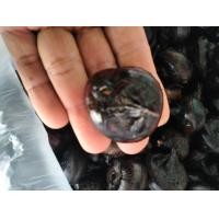 ราคา แห้วสด งมเองจากไร ขนาด 1000 กรัม (21165153192)