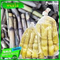 ราคา หน่อไร่ดอยหลวง หน่อไม้อัด หน่อไม้รวกต้ม อนามัย ไร้สาร ขนาด 500g เก็บได้นาน (9621436124)