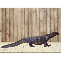 ราคา หมอนตัวเงินตัวทอง 100ซม หมอนของขวัญสุดแปลก แหวกแนว แต่ไม่น่ากลัวอย่างที่คิด พร้อมส่ง (15987831967)