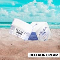 ราคา CELLARIN CREAM Anti aging Skin brightening (21076093490)