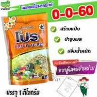 ราคา 0 0 60 ชาลีเฟรท ชาลีเฟรท โปร โพแทสเซียมคลอไรด์ บรรจุ 1 กิโลกรัม (21297632476)