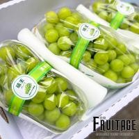 ราคา องุ่นไชน์มัสแคท 1ช่อ Shine Muscat CHN 샤인 무스카트 ลดพิเศษ ส่งฟรีแช่เย็น นำเข้า องุ่นเขียวไร้เมล็ด องุ่นเขียวไร้เม็ด องุ่นไชน์มัสคัส ผลไม้สด (18110446536)