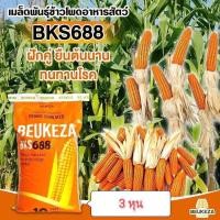 ราคา เมล็ดพันธุ์ข้าวโพดเลี้ยงสัตว์ลูกผสมเดี่ยว BKS688 บรรจุ 10 กิโลกรัม พันธุ์ฝักแฝด พันธุ์ฝักคู่ พันธุ์ 2 ฝัก ส่งฟรี (15754589273)