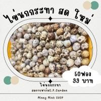 ราคา miniminey ไข่นกกระทาคละไซส์ หองใหญ่ๆ สดใหม่ เก็บไข่พร้อมส่งทุกวัน (19790494709)