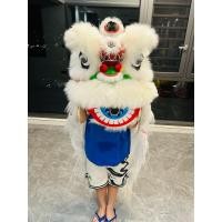 ราคา หัวสิงโตเต้นรำพลาสติกสำหรับเด็ก6 9นิ้วหัวสิงโตเต้นรำหัวสิงโต Foshan ของเล่นสิงโตใต้อุปกรณ์ประกอบฉากการแสดง (21132758162)