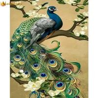 ราคา winnereco ภาพวาดเพชร นกยูง DIY สว่านเต็มตัวรูปภาพวาดประดับเพชรกลม5D ครอสติสคริสตัล งานฝีมือศิลปะสติ๊กเกอร์ตกแต่งบ้าน ครอสติชคริสตัDiamond Painting 30X40ซม (19766758270)