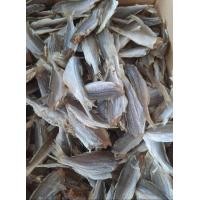 ราคา ปลาจวดเล็ก ปลาทะเลตากแห้งเค็มน้อย 500g ถุง (20695451468)