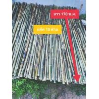 ราคา ไม้ไผ่ด้ามไม้กวาด แพ็ค 10 (12500199045)