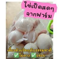 ราคา ไข่เป็ดสดๆจากฟาร์ม เก็บทุกวัน ไข่เป็ดสาวอารมณ์ดี แพ็ค6ฟอง หนัก50 55กรัม ฟอง (21225885722)