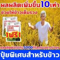 ราคา ผลผลิตเพิ่มขึ้น10เท่า ฮอร์โมนพืชข้าว เพิ่มการผลิตข้าว 1ฟรี1 ฮอโมนข้าวท้อง เร่งเต่งข้าว ฮอร์โมนข้าว ฮอร์โมนบำรุงข้าว ปุ๋ยเกล็ดทางใบ ปุ๋ยทางใบข้าว (20863957283)