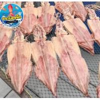 ราคา หมึกไหว้เจ้าขนาดใหญ่ จัมโบ้ เกรดส่งออก ขายเป็นตัว หมึกศอกเนื้อหวาน หมึกกล้วยหนัง จัดขายเป็นตัว (21265666416)