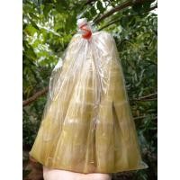 ราคา หน่อไม้เผา หน่อไม้อัดถุง น้ำหนัก 9ขีด 1kg (15286427550)