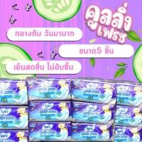 ราคา SOFY Cooling Fresh 29cm ผ้าอนามัย โซฟี คูลลิ่งเฟรช กลางคืนมามาก ผิวสัมผัสนุ่ม แพ็ค 5 ชิ้น X 6 ห่อ (21003107659)