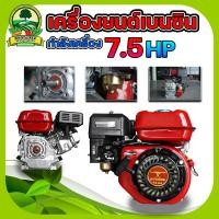 ราคา เครื่องยนต์เบนซิน 7 5 แรงม้า 8 5แรงม้า ควายไทย เครื่องสูบน้ำ 4 จังหวะ เครื่องยนต์อเนกประสงค์ เครื่องยนต์ พร้อมส่ง (19841355207)