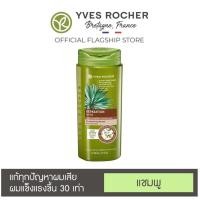 ราคา Yves Rocher อิฟโรเช่ แชมพูสระผม ขนาด 300 มล YvesRocher ครีมนวดผม ขนาด 200 มล (17244769908)