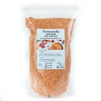 ราคา ถั่วเลนทิลแดง organic 240 800กรัม ถั่วเลนทิล Redlentils (20833943412)