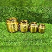 ราคา AAA เช็ควาล์ว ตั้ง ทองเหลือง เกลียวนอก เกลียวใน มีขนาดให้เลือกสปริง check valve กันย้อนกลับ วาล์วกันน้ำกลับ ระบบน้ำ (18245072486)