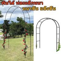 ราคา ซุ้มไม้เลื้อย ซุ้มไม้ระแนง ท่อเหล็กหนา โครงไม้เลื้อย โครงเหล็กซุ้ม ซุ้มกุหลาบเลื้อย ซุ้มโครงเหล็ก โครงเหล็กสวน ซุ้มกุหลาบ ซุ้ม ประตู (20672843496)