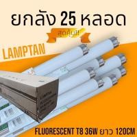 ราคา ยกลัง 25 หลอด หลอดฟลูออเรสเซนต์ T8 18W 60cm 36W 120cm แสงขาว (20607448750)