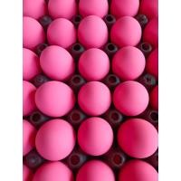 ราคา ไข่เยี่ยวม้าฟองใหญ่ 30 ฟอง (14000312992)