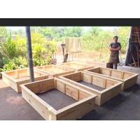 ราคา กระบะปลูกไม้สน กระบะปลูกผัก กระบะปลูกดอกไม้ (21044069561)