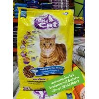 ราคา อาหารแมวแคทตี้แคท 10 กิโลกรัม รสปลาทูน่า (20636370616)