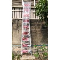 ราคา BARCO บันไดอลูมิเนียม ขึ้น ลงทางเดียว 12 ขั้น ฟุต สูง 3 56 เมตร น้ำหนัก 11 1 กก หนา 1 8 มม รับน้ำหนัก 150กก ส่งฟรีทั่วประเทศ (16129577803)