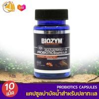 ราคา แคปซูลแบคทีเรียเข้มข้น BIOZYM Nitrification Capsules สำหรับตู้ปลาน้ำจืด ตู้ปลาทะเล ตู้ไม้น้ำ บ่อปลา แบคทีเรียย่อยสลายของเสียในตู้ปลา (16002452378)